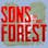 Sons Of The Forest Map