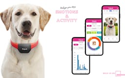Petpuls: the AI-powered dog collar media 3