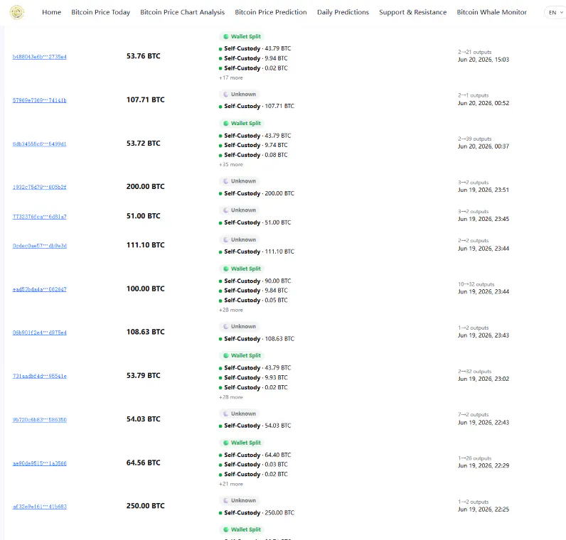 OursCrypto Whale Monitor gallery image