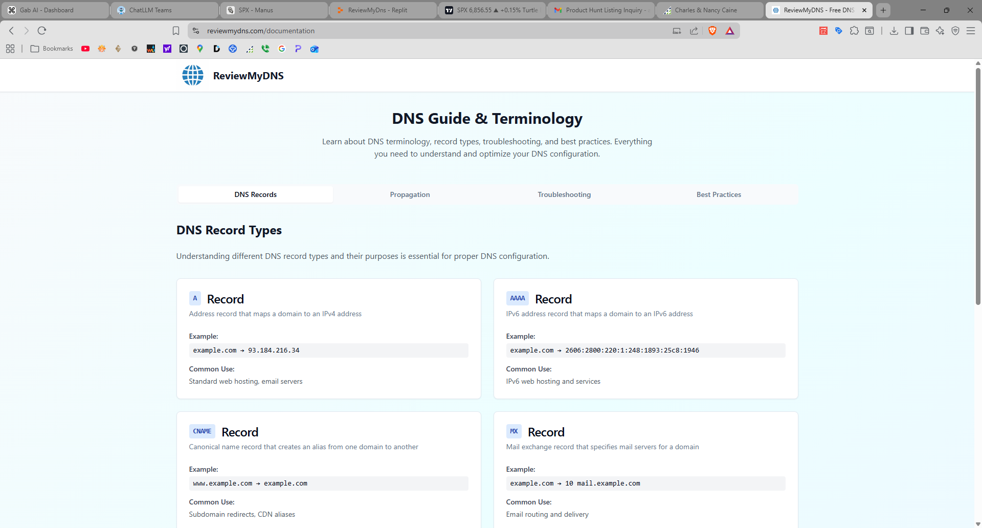 Review My DNS gallery image