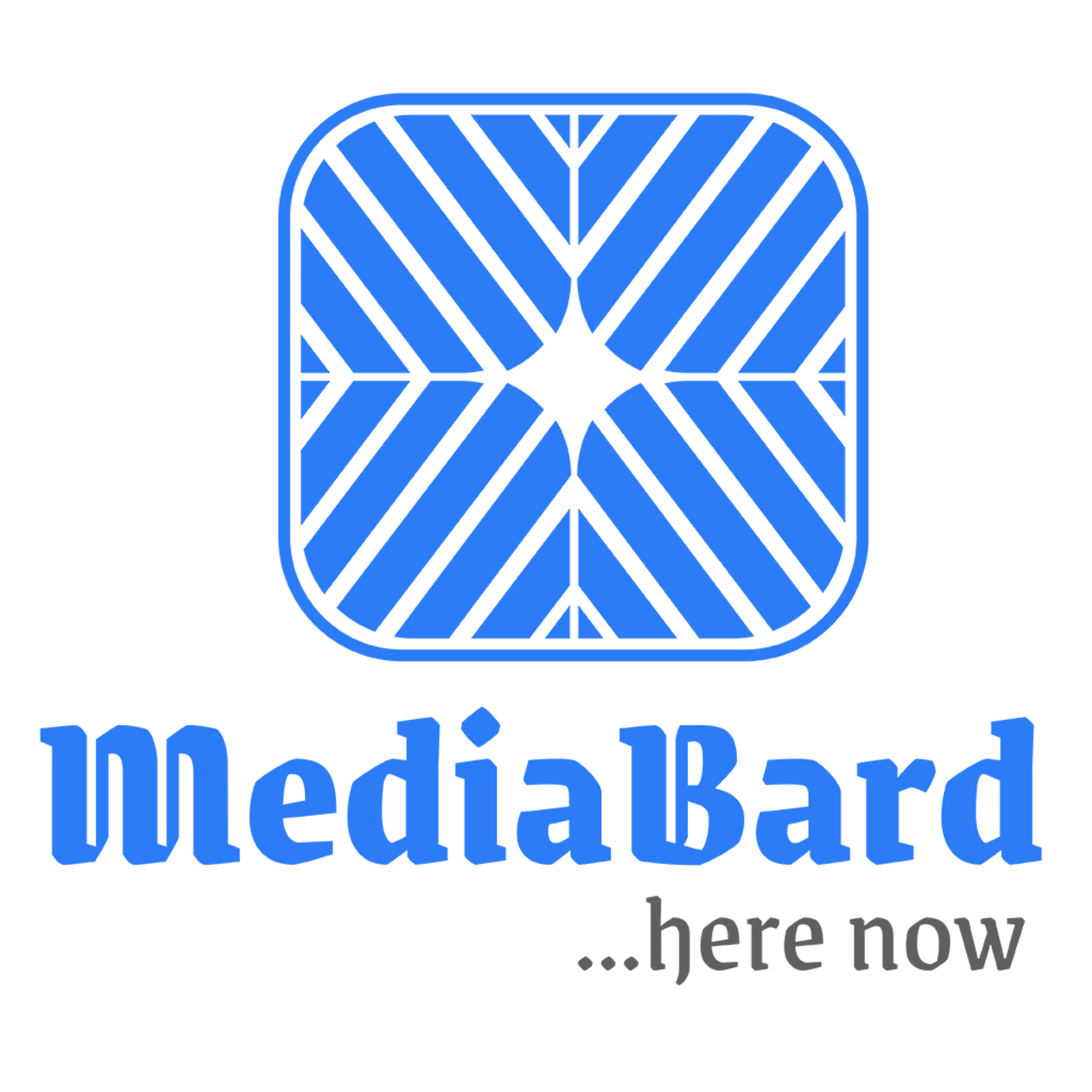 MediaBard screenshot 3