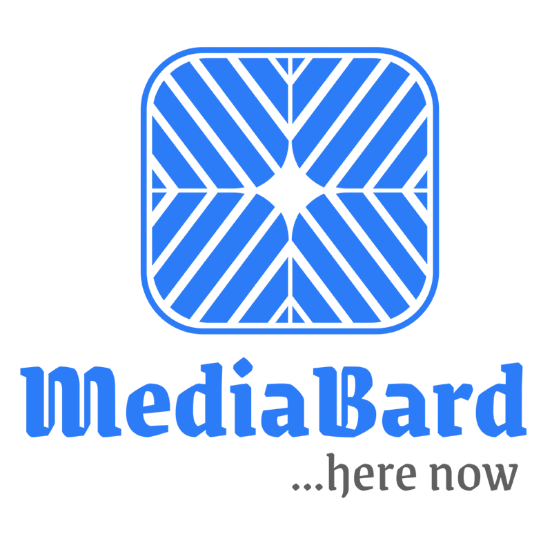 MediaBard screenshot 3