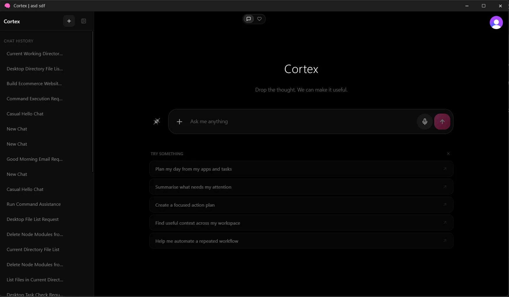 Cortex gallery image