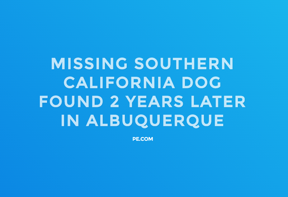 Pretty Good News gallery image