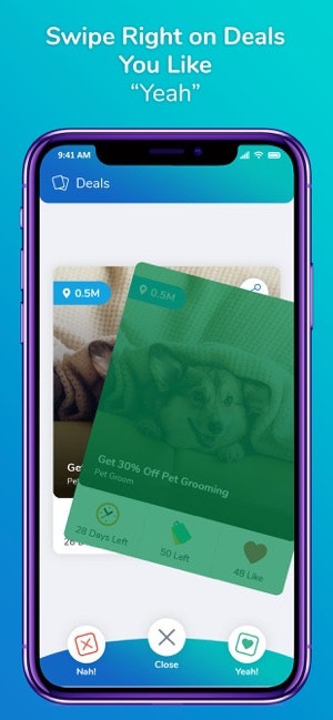 Dashible gallery image