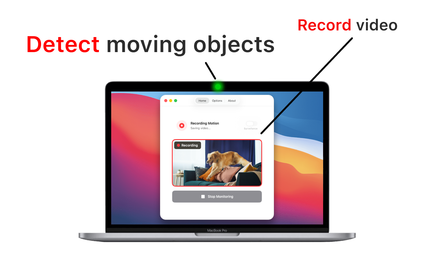 SpyCam gallery image