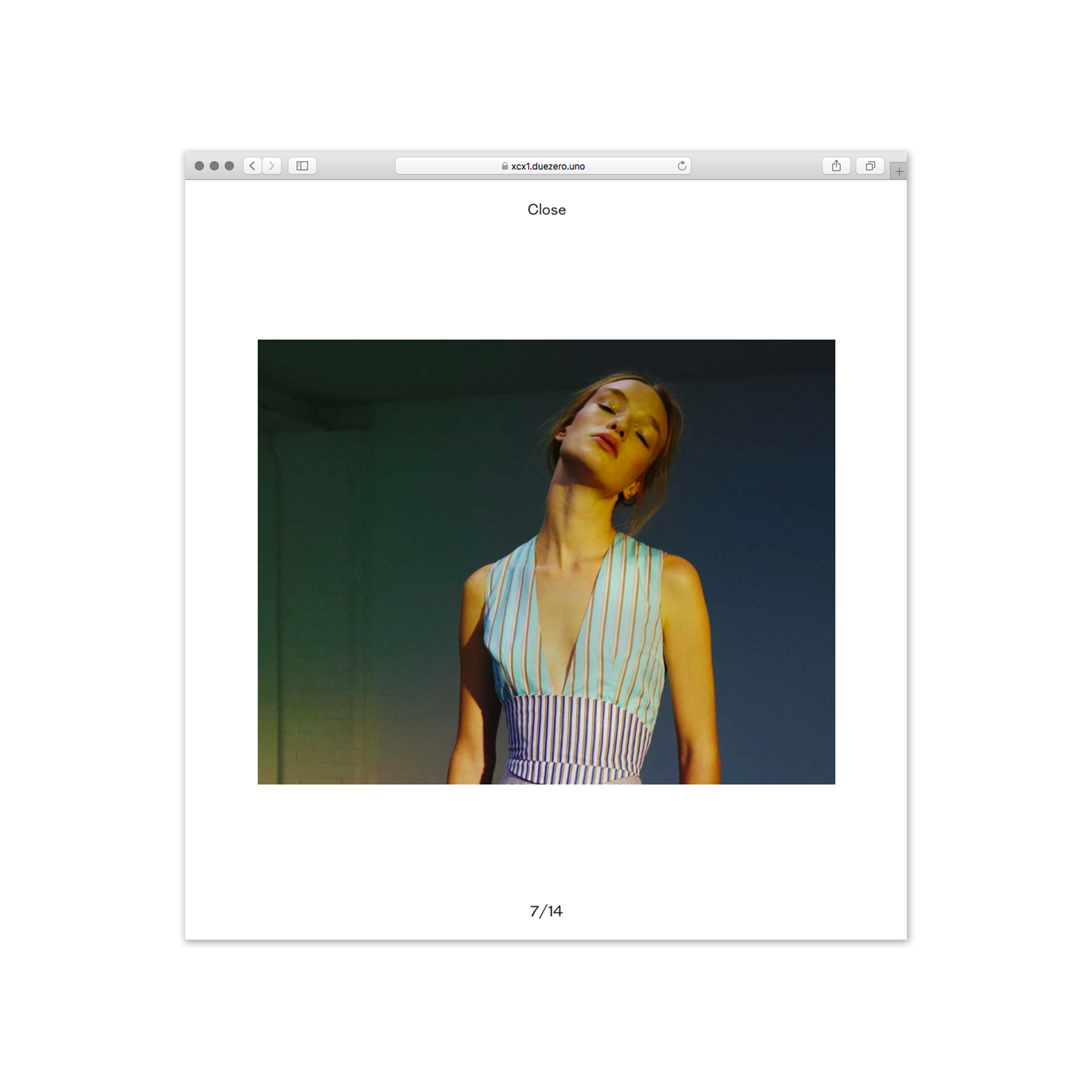 Xcx1 for WordPress gallery image