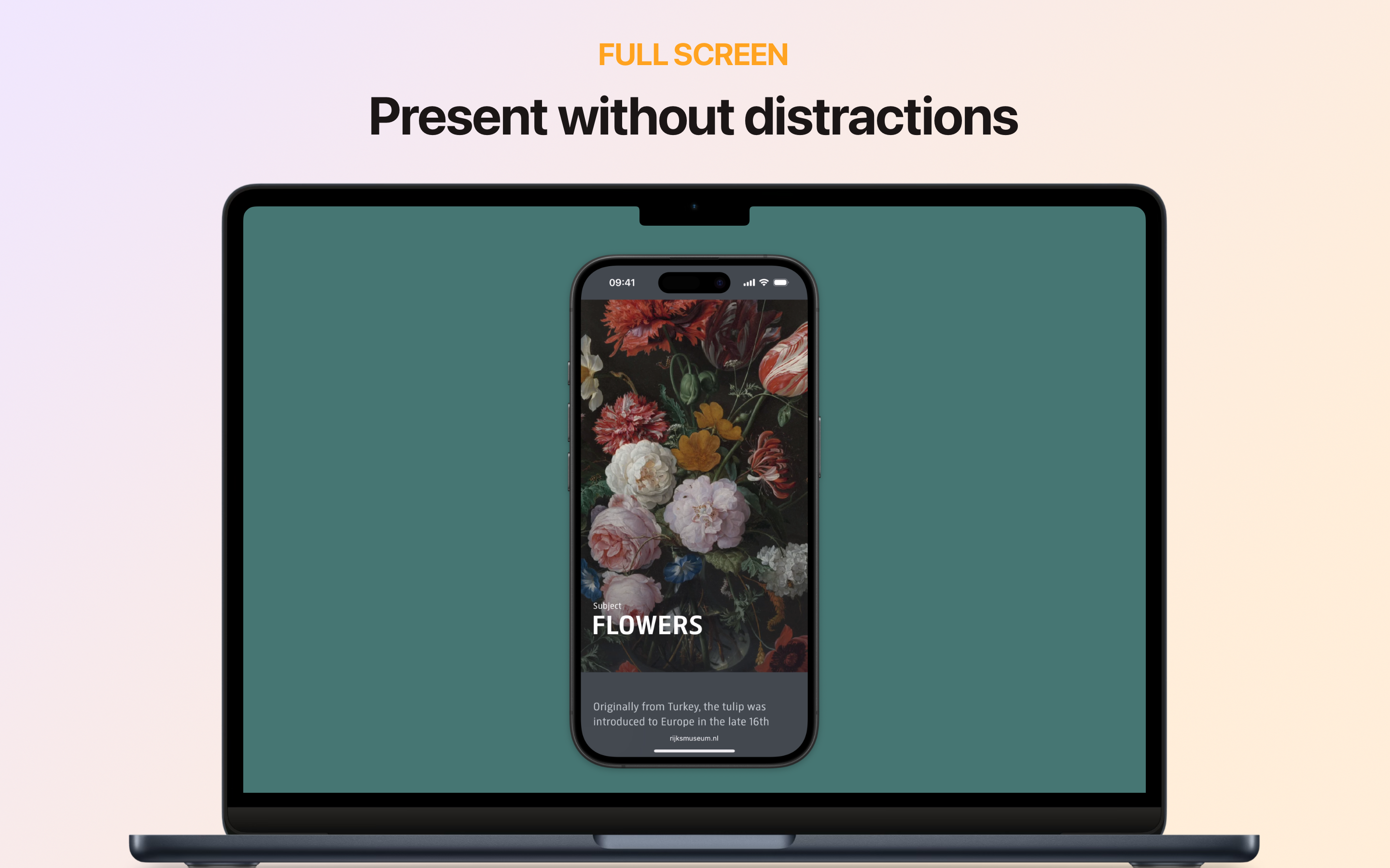 Mídia 4 de PLES PLES.0 - Espelhamento para iPhone de tela cheia