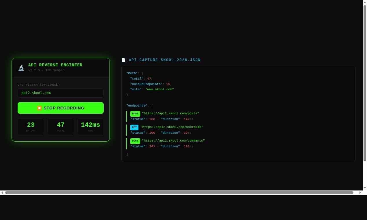 API Reverse Engineer - Screenshot 2 showing product features and functionality