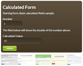 Calculated Fields Form gallery image