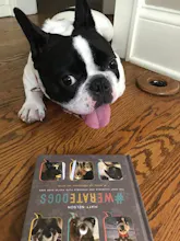#WeRateDogs Book gallery image
