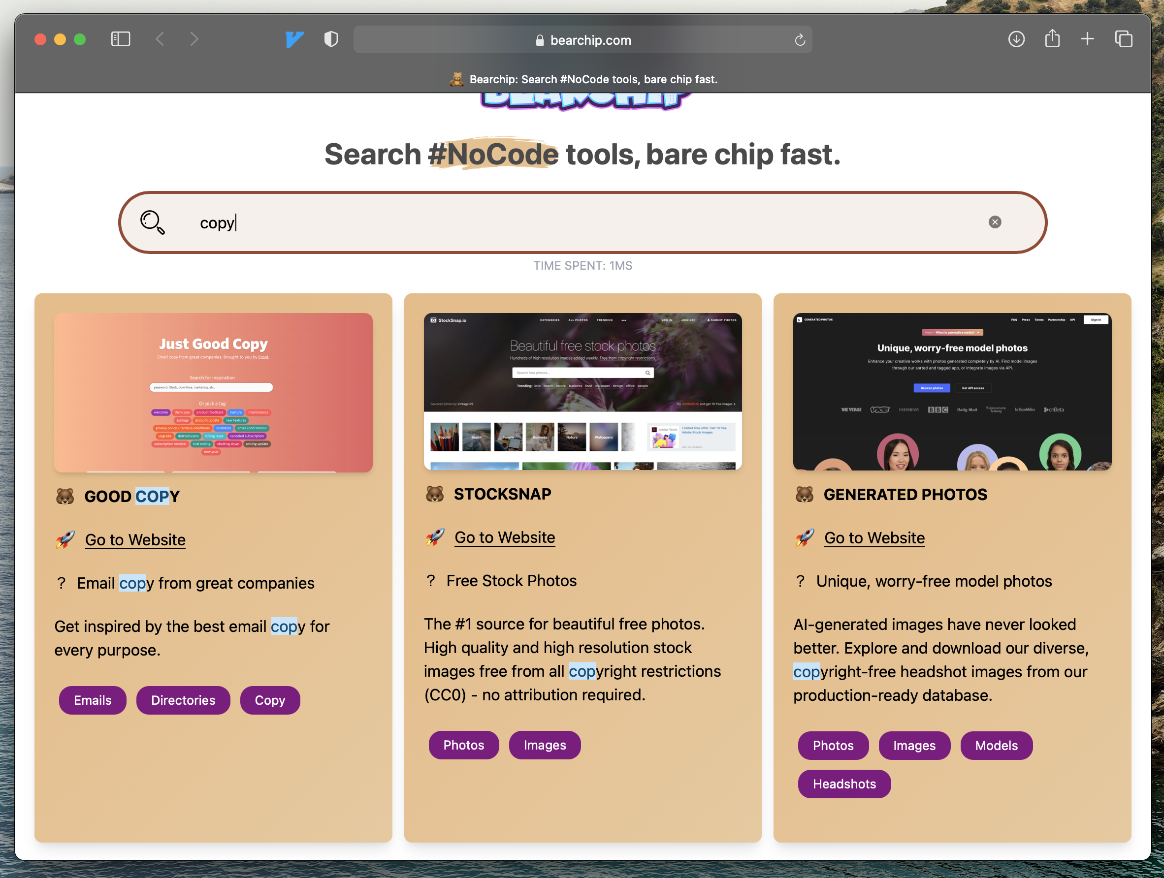 Bearchip gallery image