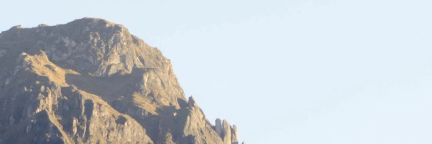 Mariano Gutiérrez cover