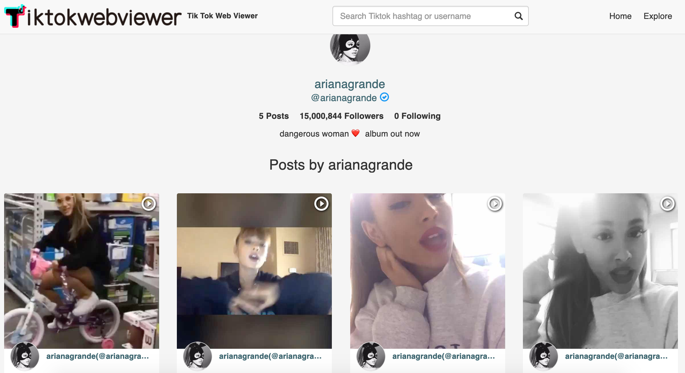 Tiktok Web Viewer gallery image