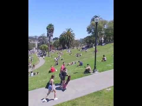 FlashTryp gallery image