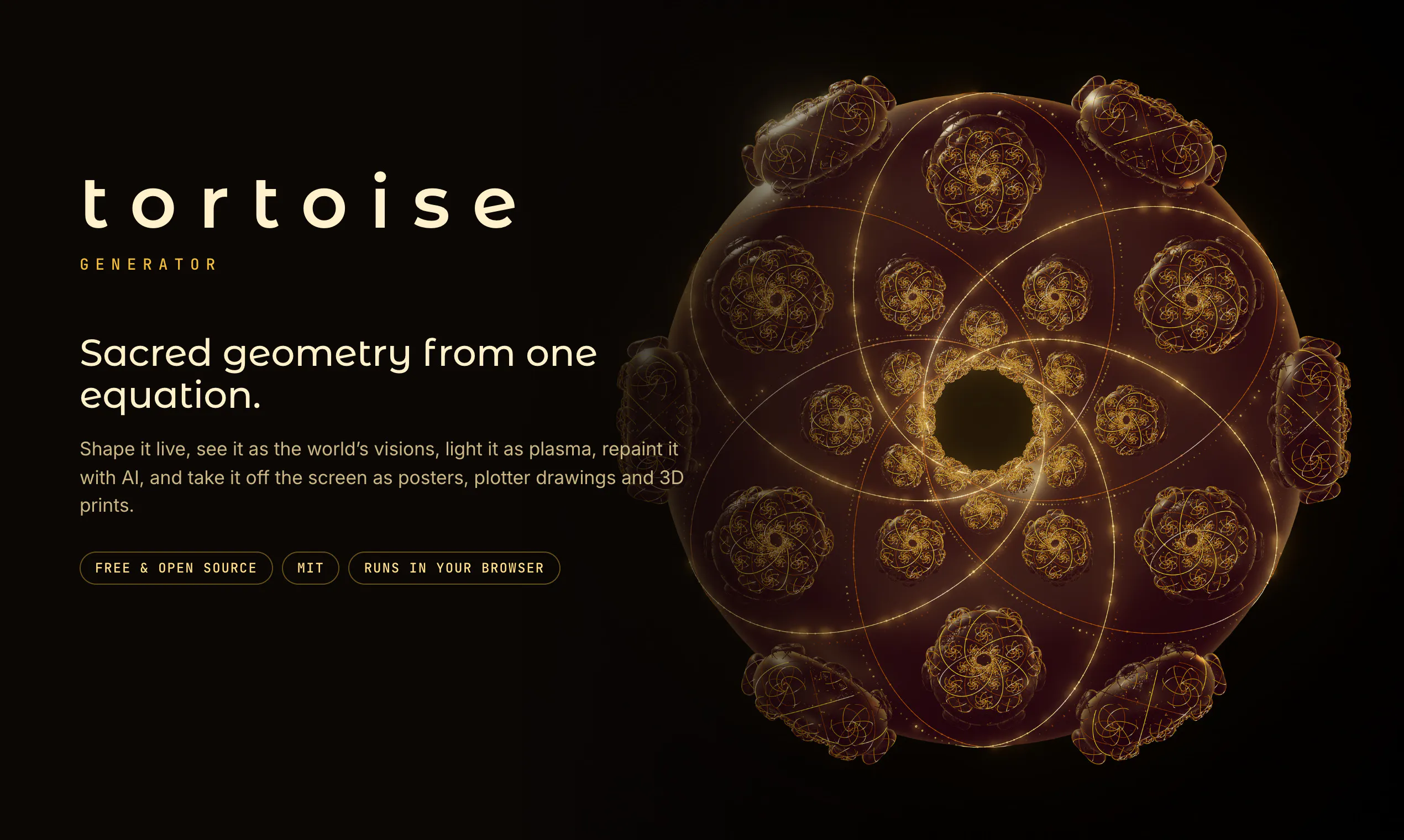 Tortoise gallery image