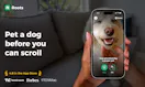 Pet a dog to use social media — by Roots