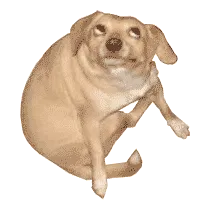 dogdings
