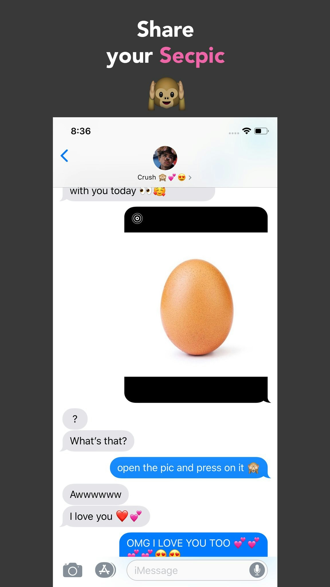 Secpix gallery image