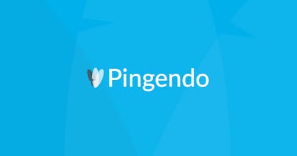 Pingendo gallery image