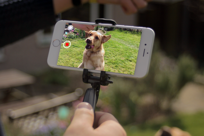 Smoovie gallery image