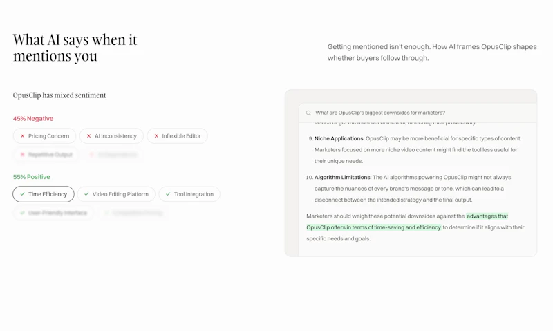 Cloviana Free AI Visibility Audit screenshot 5