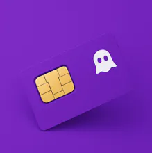 Ghost Sims gallery image