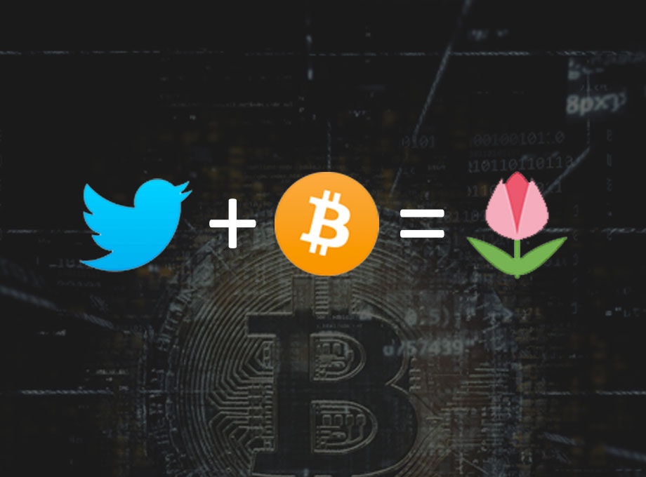 Bitcoin To Tulips gallery image