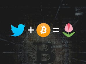 Bitcoin To Tulips gallery image