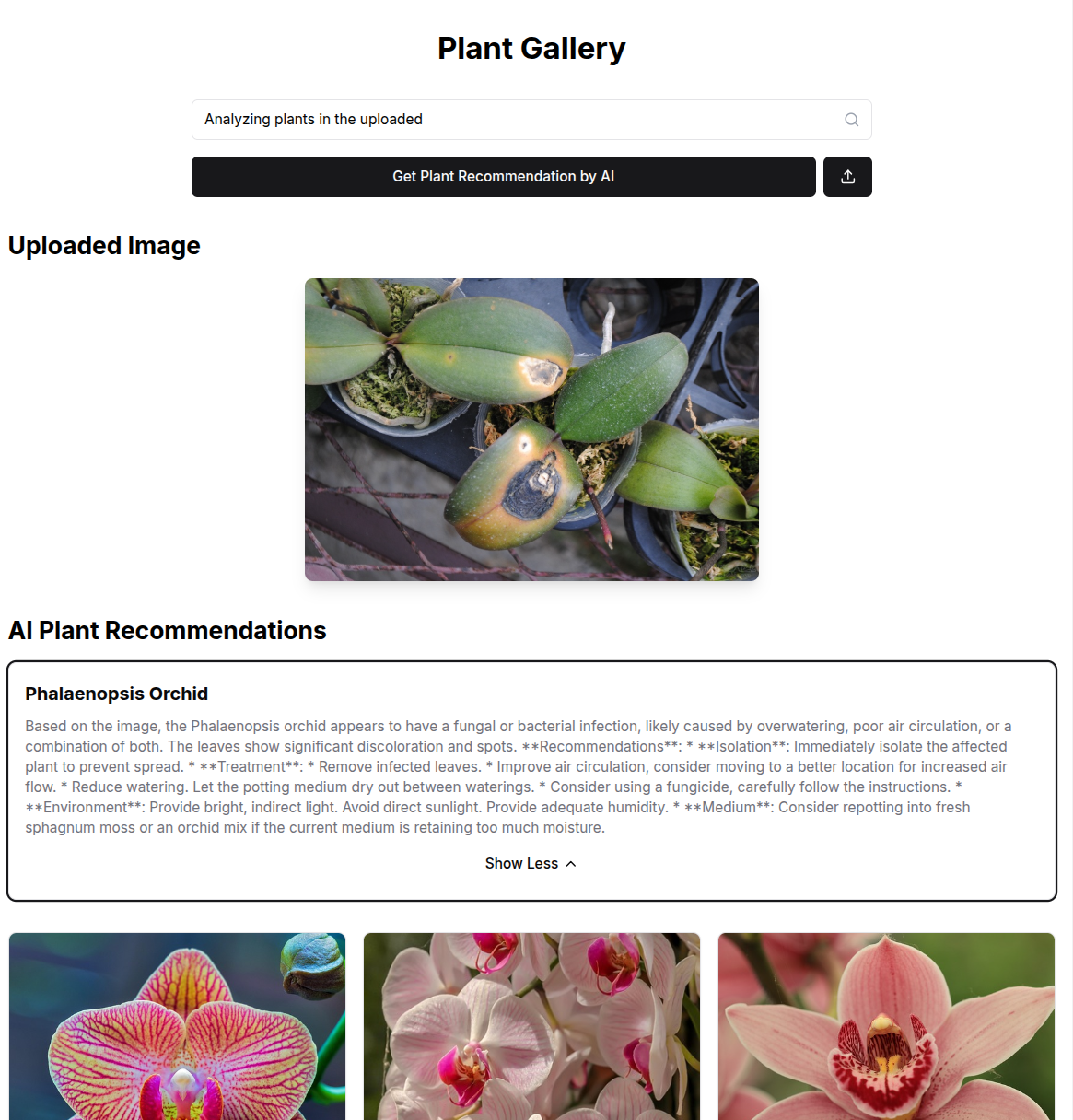 Plant Gallery AI
