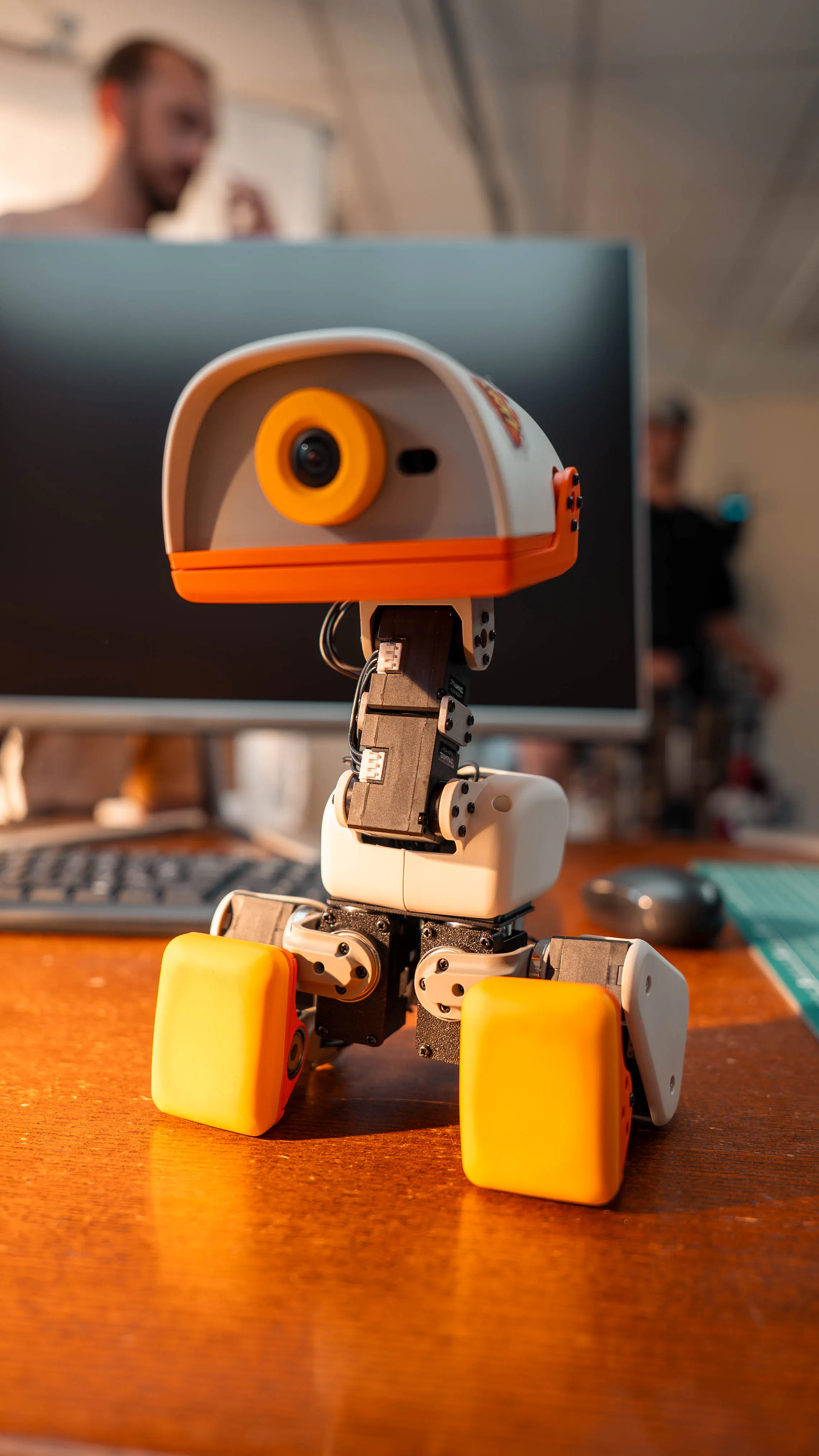 Microduck gallery image