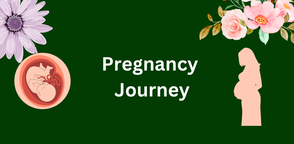 Pregnancy Journey: Week by Week gallery image