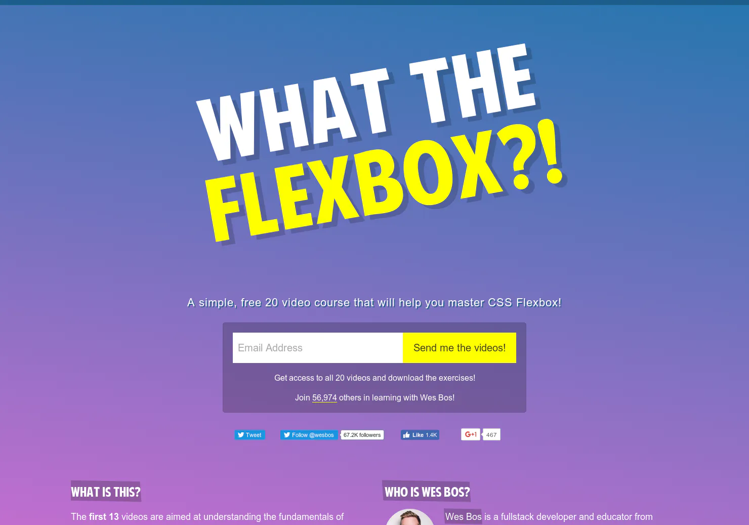 What The FlexBox?!