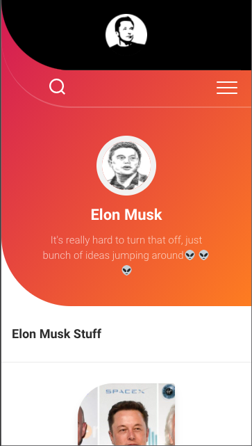 Elon Stuff gallery image
