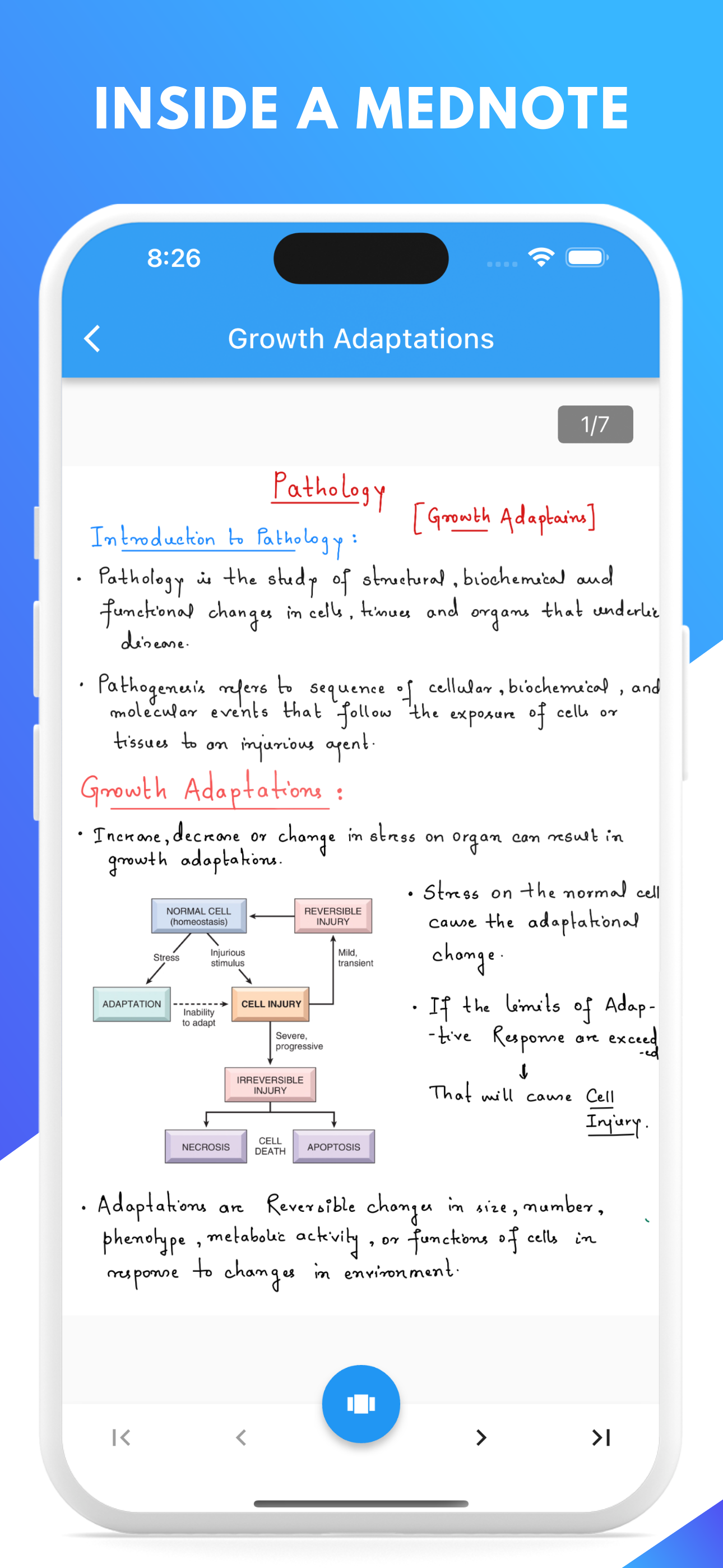 Mednotes media 11