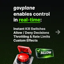 Govplane gallery image