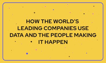 People of Data gallery image