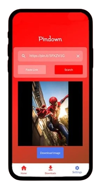 Pinterest Video Downloader gallery image