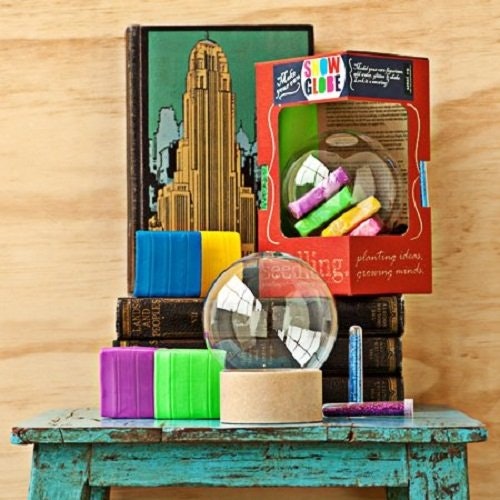 Seedlings gallery image