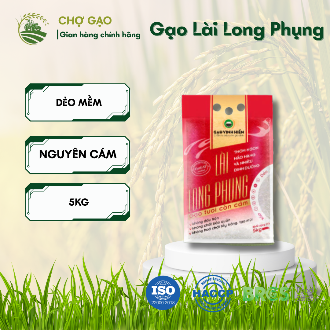 Chợ Gạo media 1