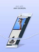 Stitchi gallery image