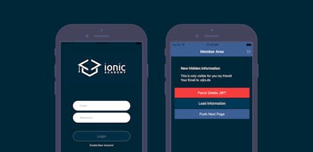 Ionic Academy gallery image