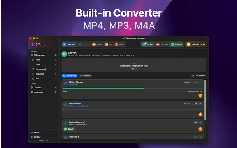 AVS Download Manager screenshot 5