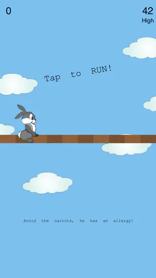 Rabbit Run