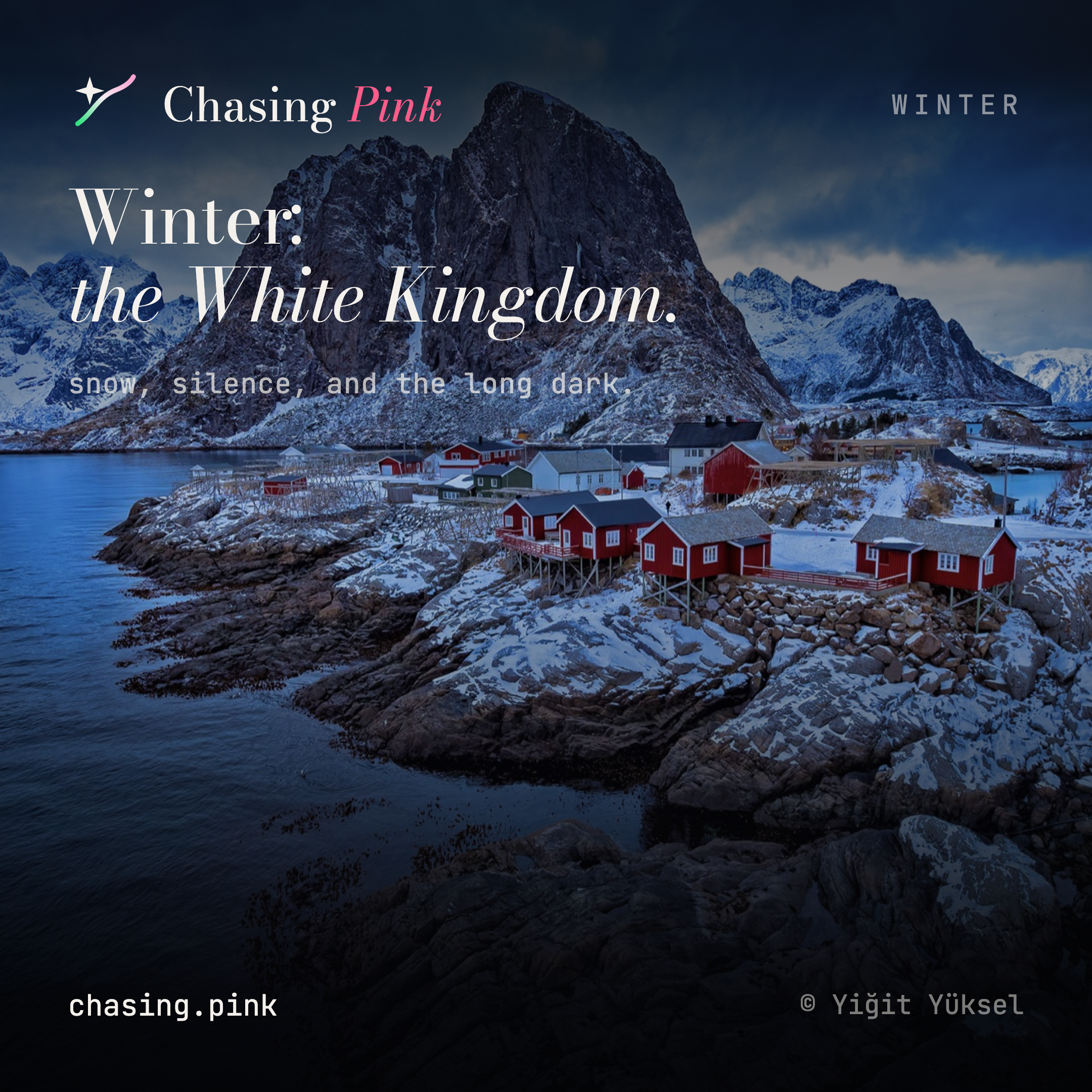 Chasing Pink gallery image