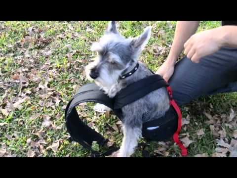Ruffit Dog Carrier media 1
