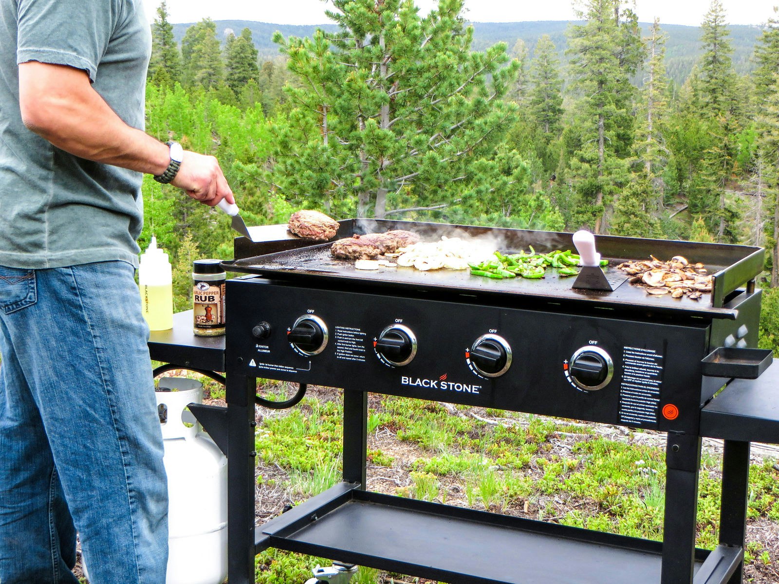 Top 10 Best Gas Grills under 300 Reviews gallery image