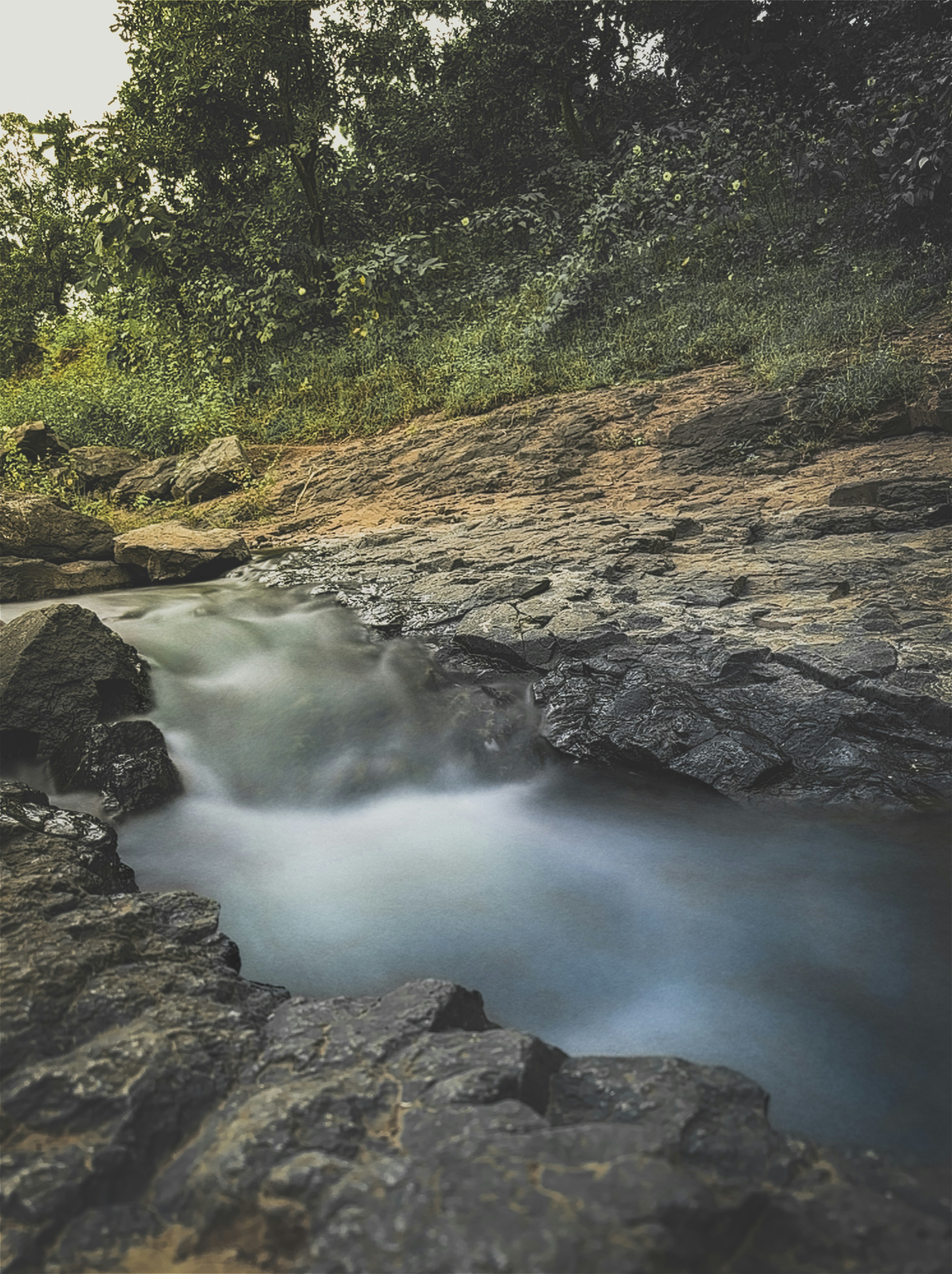 IRIS Flow gallery image