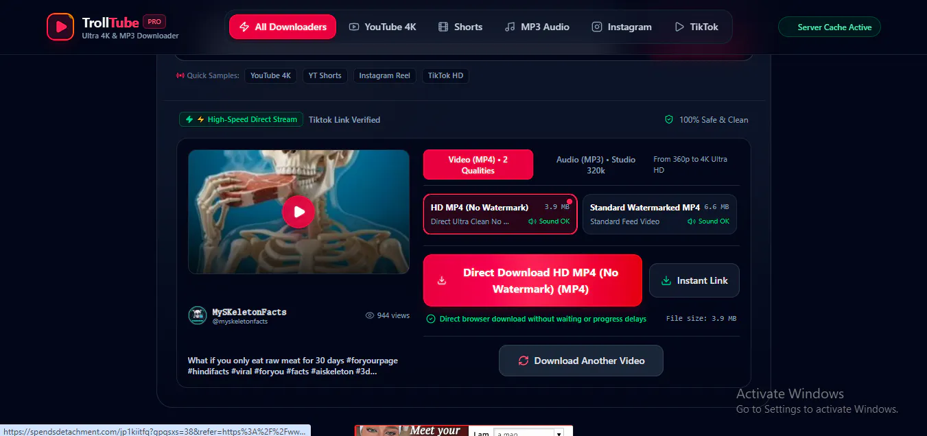 TrollTube gallery image