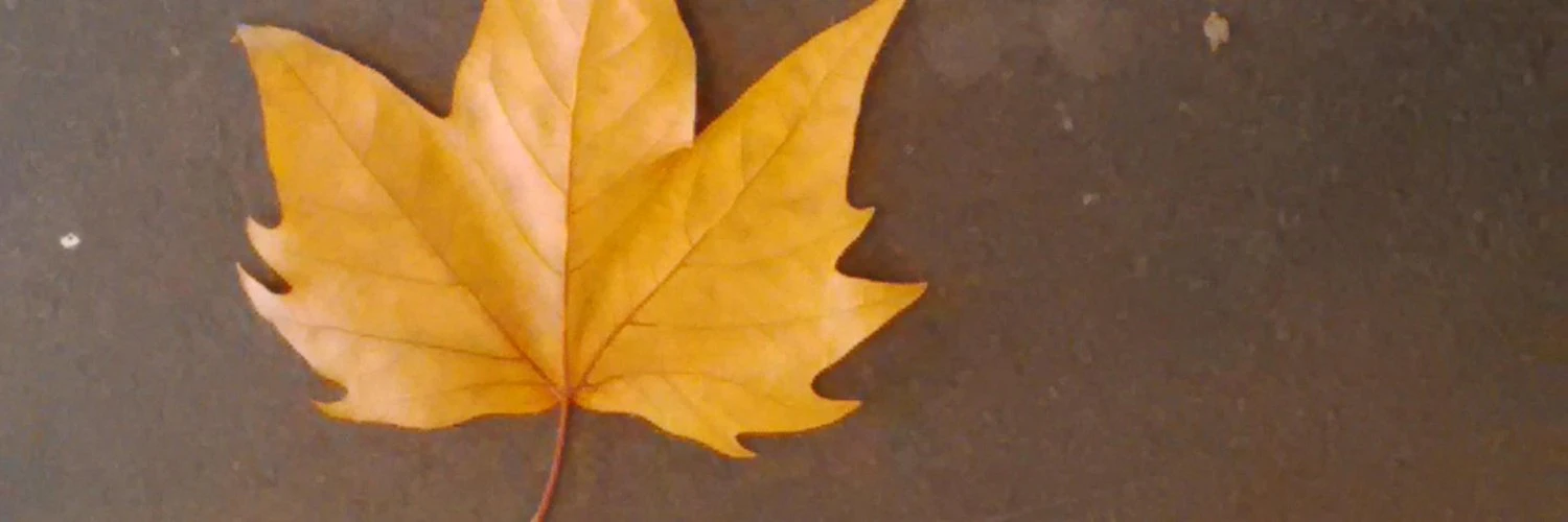 Div (Divya) Rakesh cover